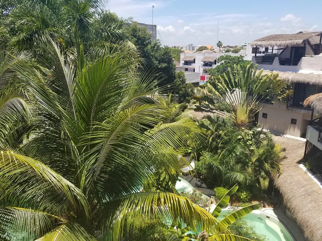 La Tortuga Hotel y Spa - Solo Adultos Playa del Carmen México