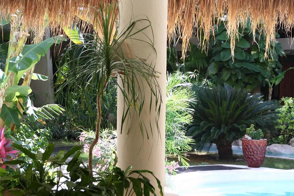 La Tortuga Hotel y Spa - Solo Adultos Playa del Carmen México