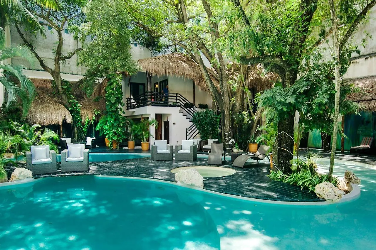 La Tortuga Hotel y Spa - Solo Adultos Playa del Carmen 4*,  México
