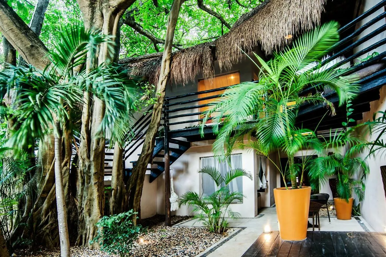 La Tortuga Hotel y Spa - Solo Adultos Playa del Carmen